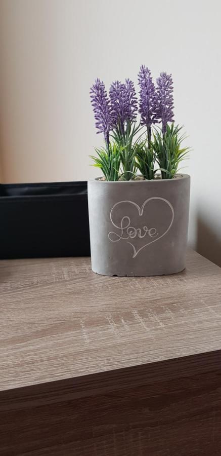 Boglarka Apartman Hajduszoboszlo Luaran gambar