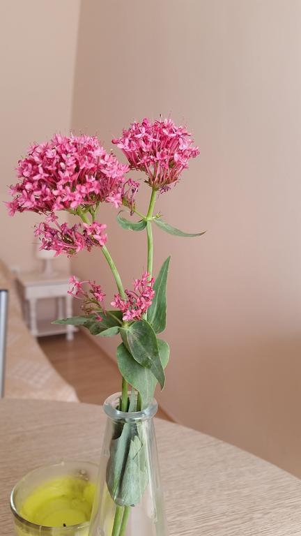 Boglarka Apartman Hajduszoboszlo Luaran gambar